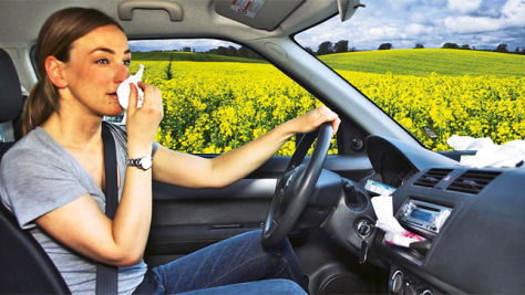 Tipps gegen Pollen im Auto