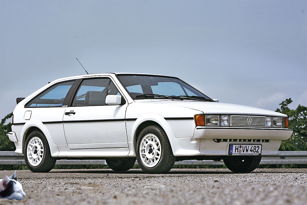 VW-Scirocco-White-Cat-1200x800-e54eb9eb2