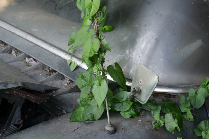 Autofriedhof Schrottplatz Kaufdorf Schweiz