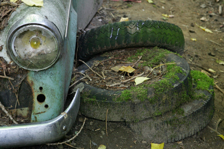 Autofriedhof Schrottplatz Kaufdorf Schweiz