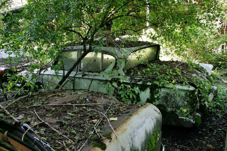 Autofriedhof Schrottplatz Kaufdorf Schweiz