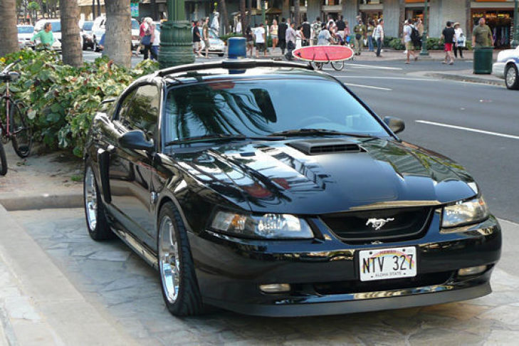 Polizei Mustang