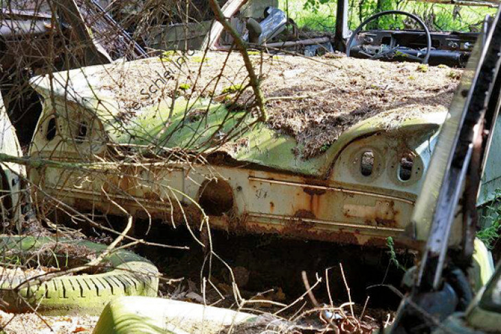 Autofriedhof Schrottplatz 