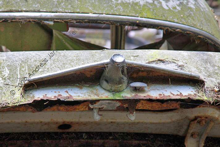 Autofriedhof Schrottplatz 