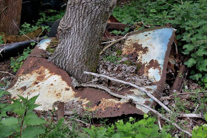 Autofriedhof Schrottplatz 