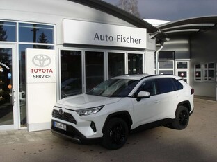 Bild des Angebotes Toyota RAV 4 2.5 4x4 Hybrid Team Deutschland