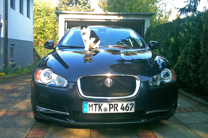 Jaguar XF
