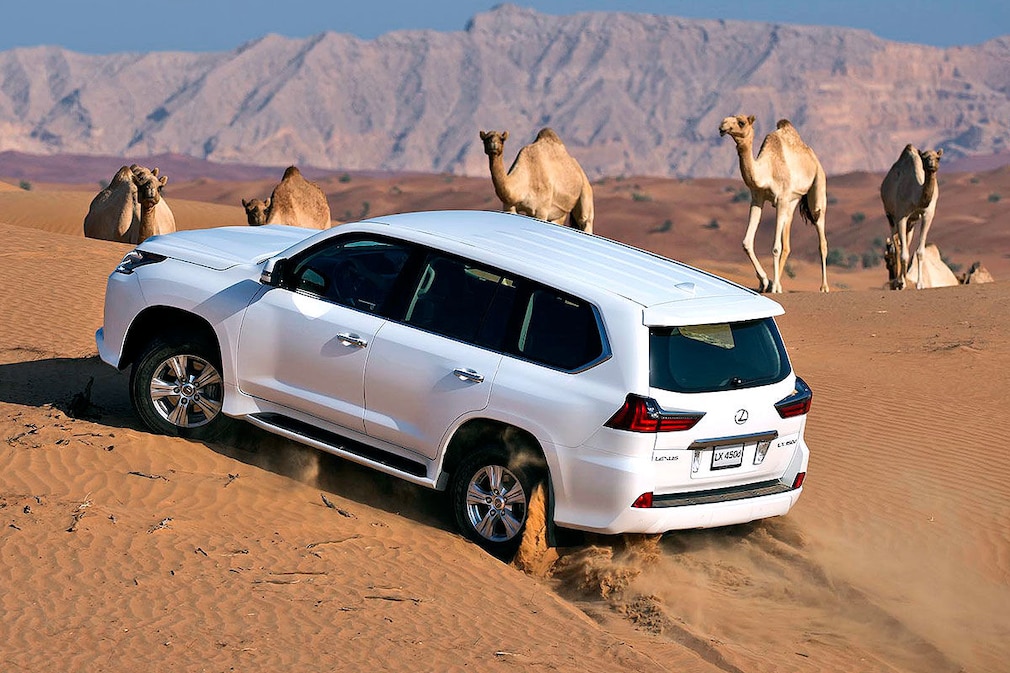 SUVs, die kaum jemand kennt