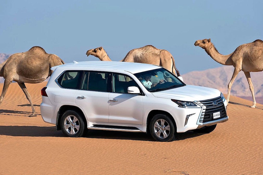 SUVs, die kaum jemand kennt