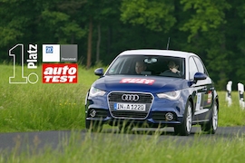 ZF-Praxistest 2012 Kleinwagen