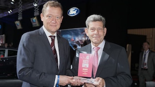 Gewinner Bronze Ford