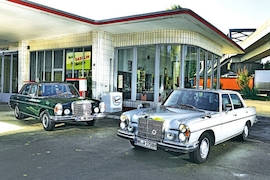 Pro und Kontra: Charta von Turin