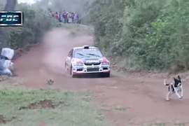 Bolivien: Rallye-Evo überspringt Hund