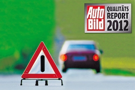 Qualitätsreport 2012