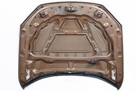 Motorhaube BMW X1 xDrive 118d