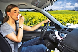 Pollen-Alarm im Auto