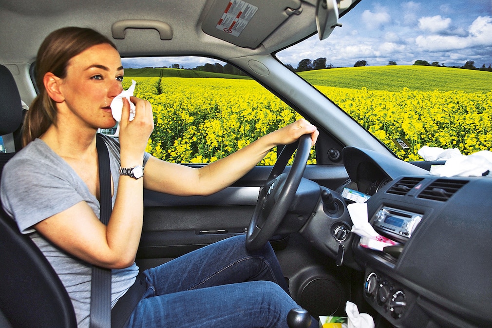 Pollen-Alarm im Auto