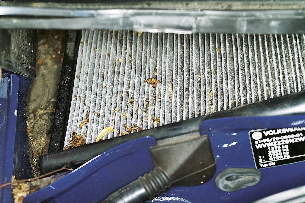Pollen-Alarm im Auto