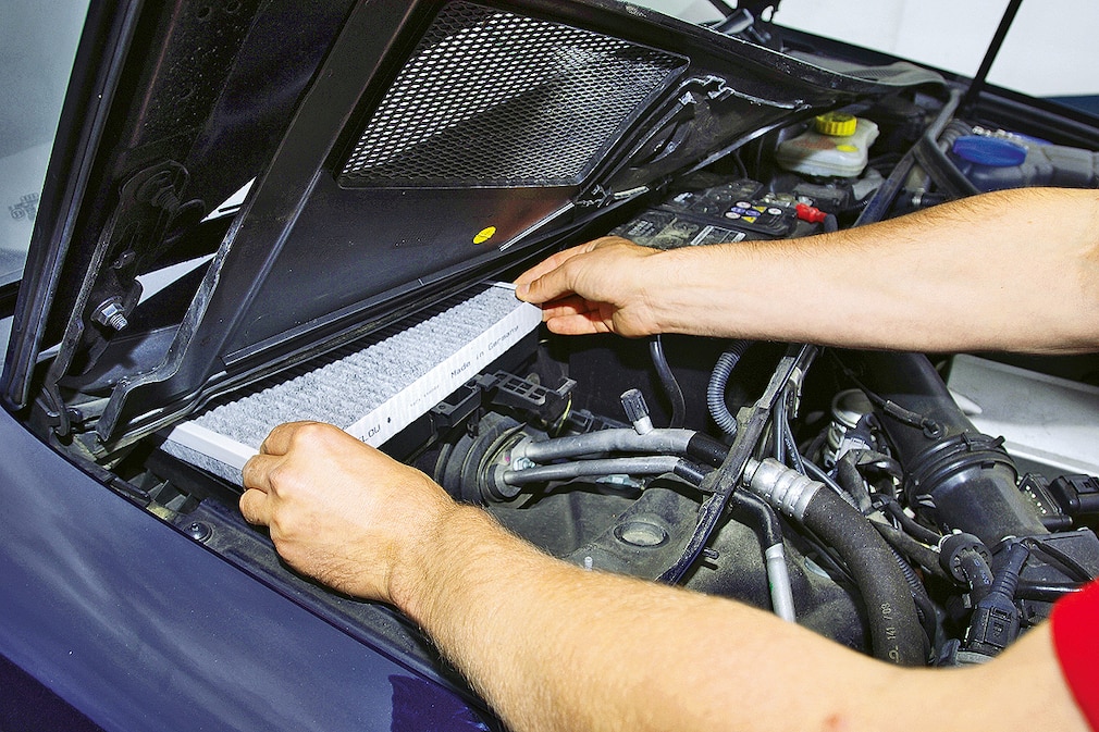 Pollen-Alarm im Auto