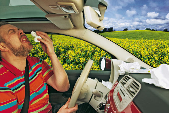 Pollenfilter fürs Auto - AUTO BILD