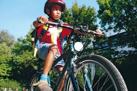 Ramsauer gegen Helmpflicht für Radfahrer