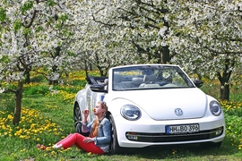 VW Beetle