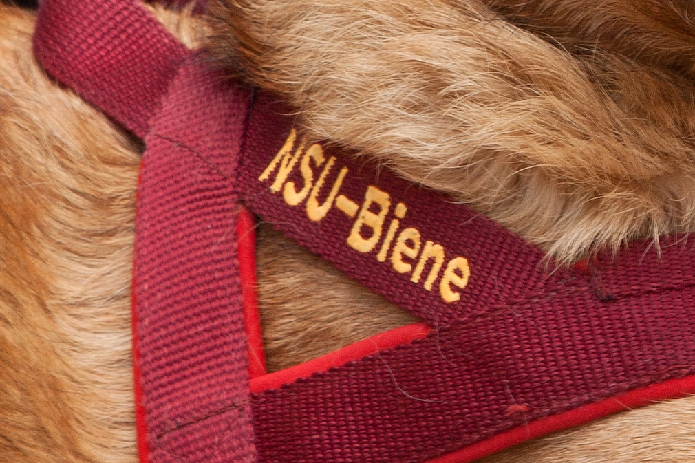 NSU Biene