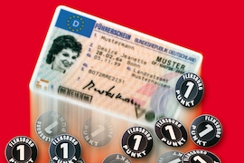 Führerschein Punkte Flensburg