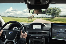 Volvo-Test mit Notbremsassistent mit Tier-Erkennung