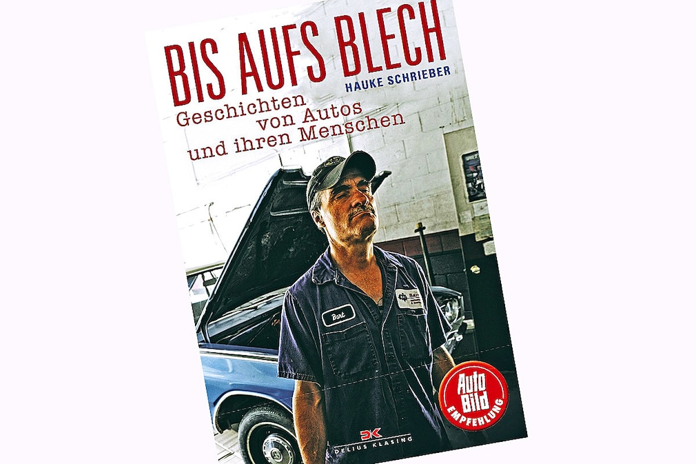 Buchtipp: "Bis aufs Blech" von Hauke Schrieber
