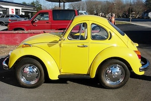 Die wildesten Käfer aller Zeiten