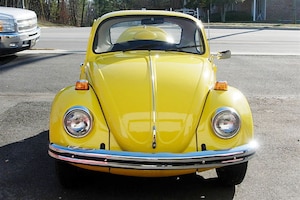 Die wildesten Käfer aller Zeiten