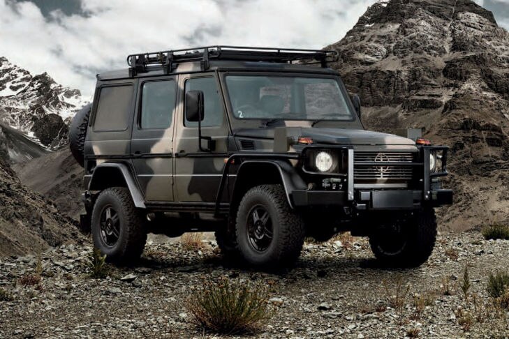 Mercedes Wolf