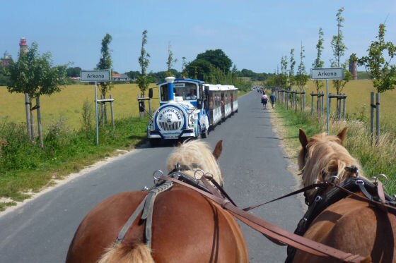 Kutschfahrt zum Kap Arkona