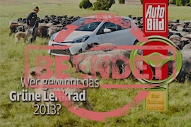 Grüne Lenkrad 2013