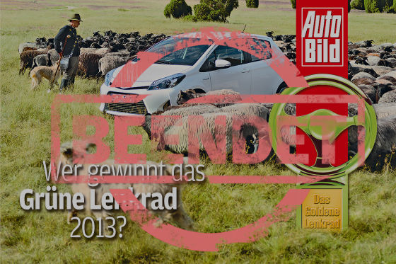 Grüne Lenkrad 2013