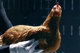 Mercedes-Benz: Magic Body Control Werbespot