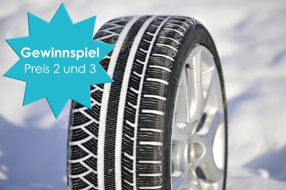 Michelin Alpin A4