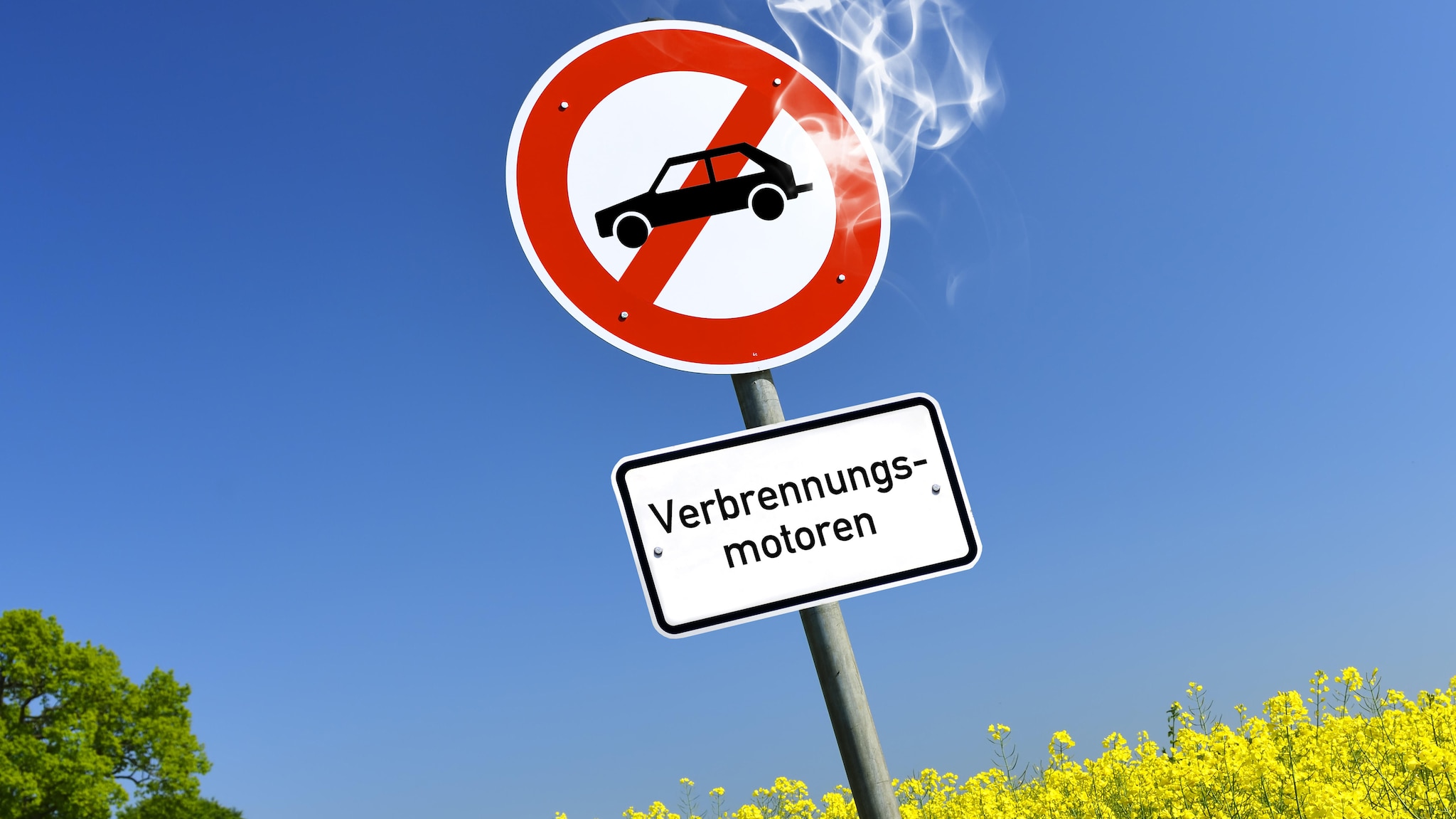 www.autobild.de