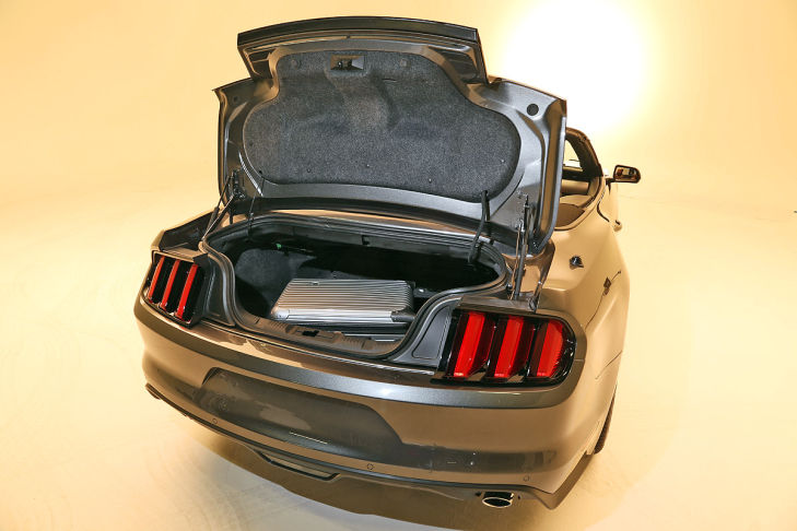 Ford Mustang Cabrio (2014)