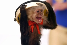 VW-Werbespot zum Super Bowl 2014