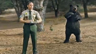 Audi Werbespot für den Super Bowl 2013