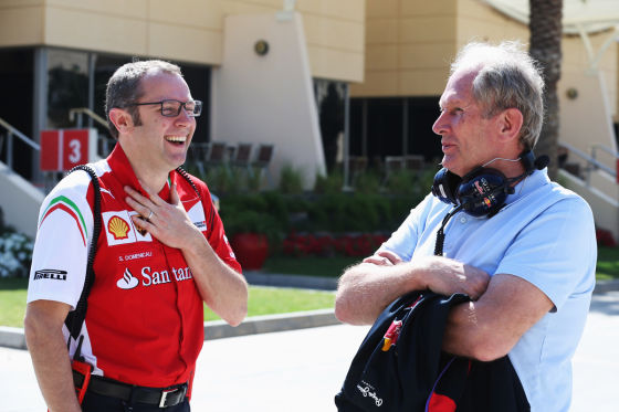 Stefano Domenicali & Helmut Marko