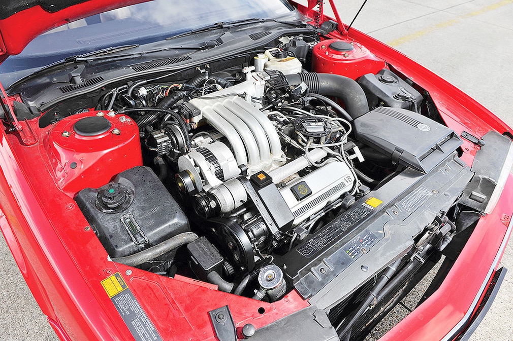 Cabrios aus 50 Jahren