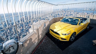 Empire State Building als Ponyhof