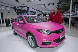 Peking Auto Show 2014: Tops und Flops