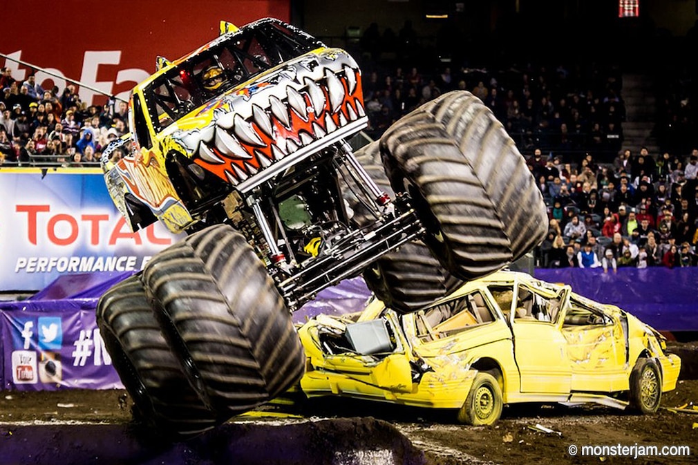 Die krassen Monstertrucks