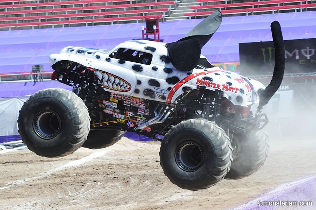 Die krassen Monstertrucks