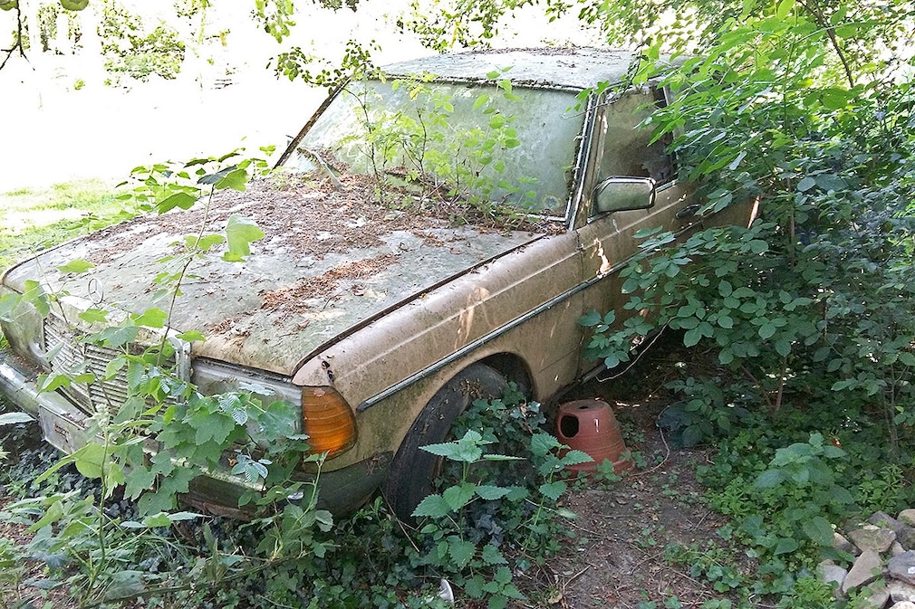 Mercedes 300 D Deutschlands grünster Diesel - Fahrkultur Gartenfund