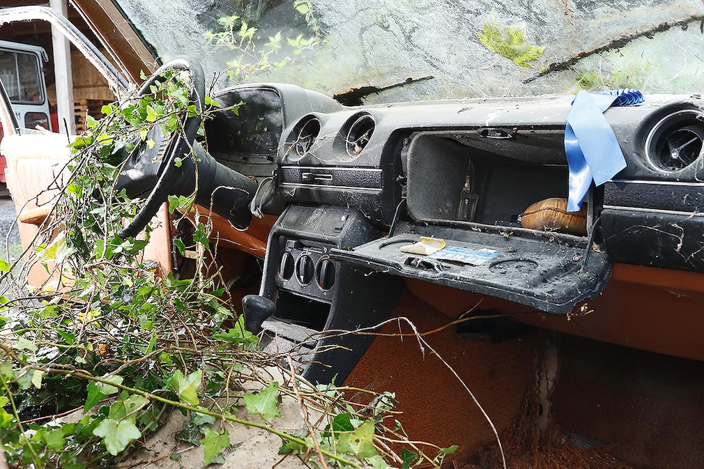 Mercedes 300 D Deutschlands grünster Diesel - Fahrkultur Gartenfund